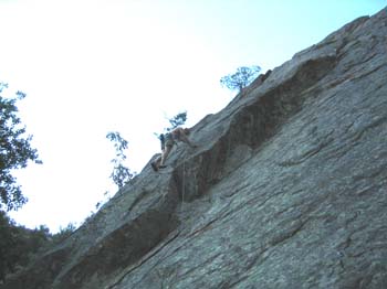 Korsika_0029