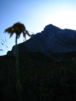 IMG_8300