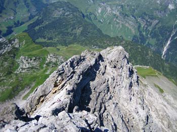 IMG_8357