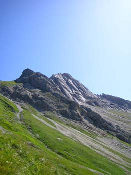 IMG_8368