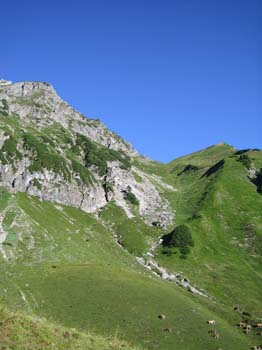 IMG_5692