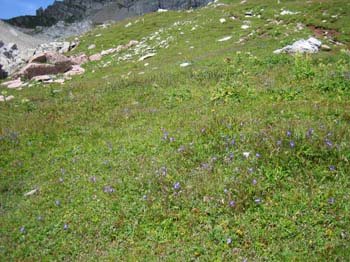 IMG_5898
